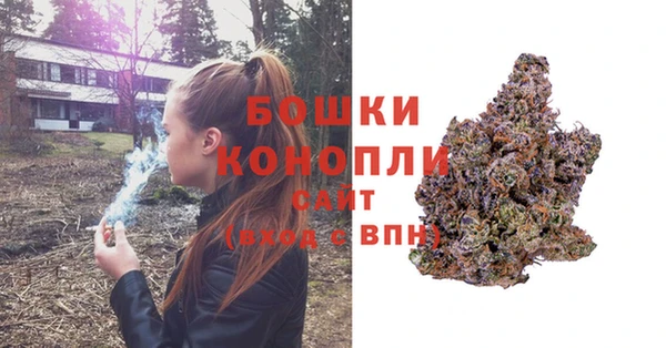 spice Алагир